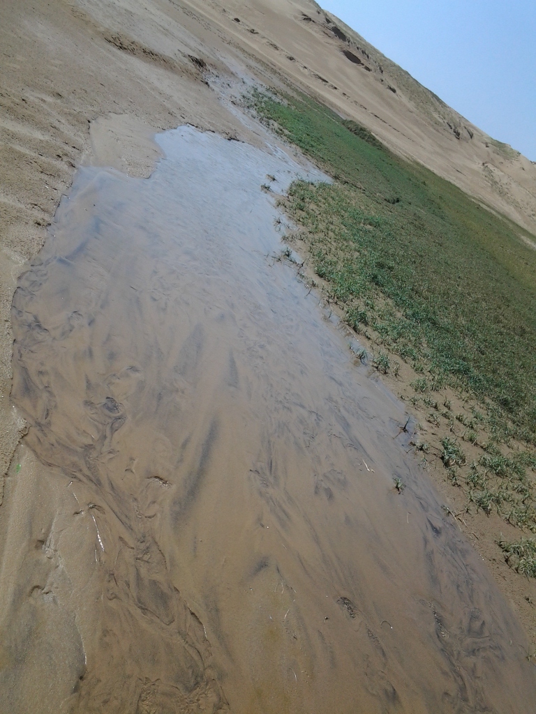 20140513_鳥取砂丘