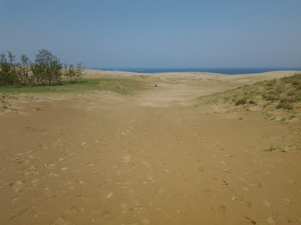 20140513_鳥取砂丘