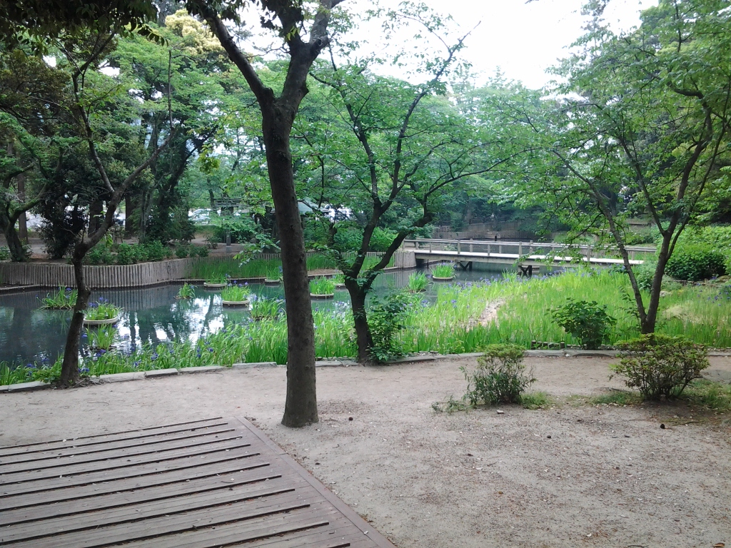 20140514_浄の池（きよめのいけ）