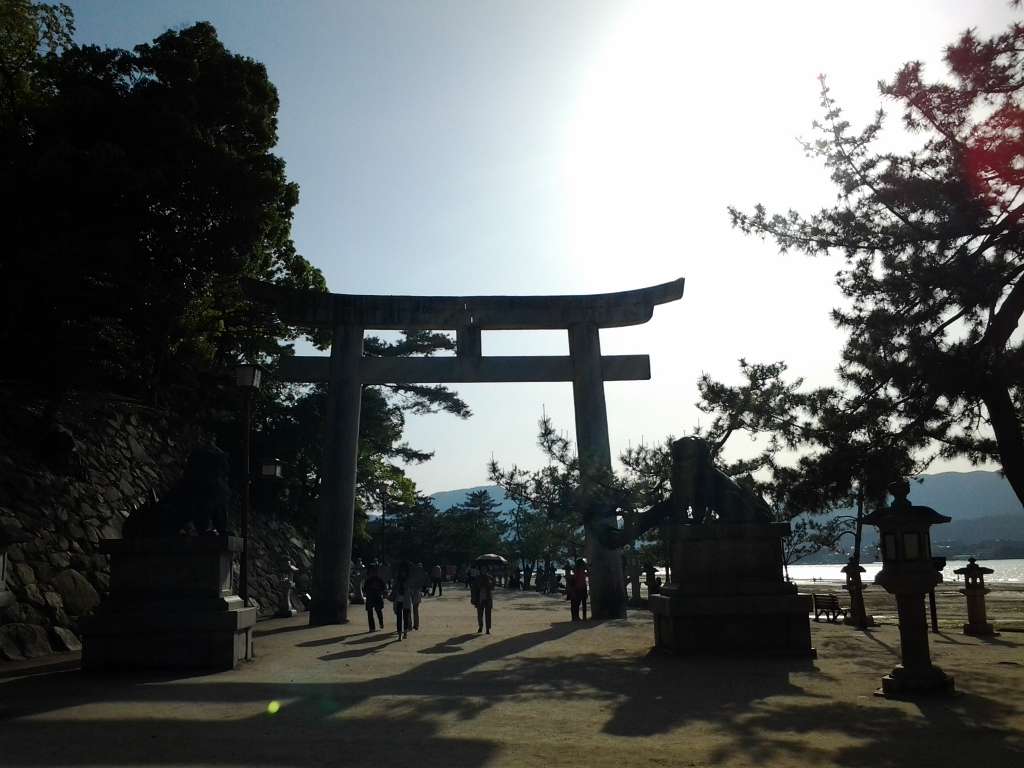 20140516_石大鳥居