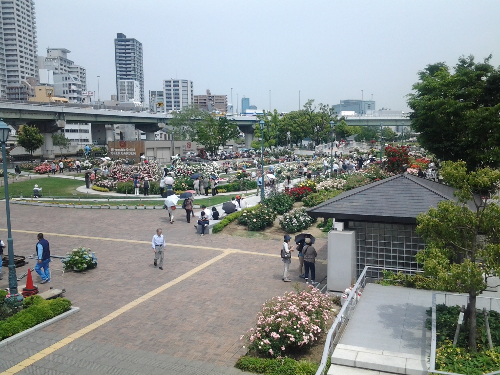 20140519_中之島バラ園