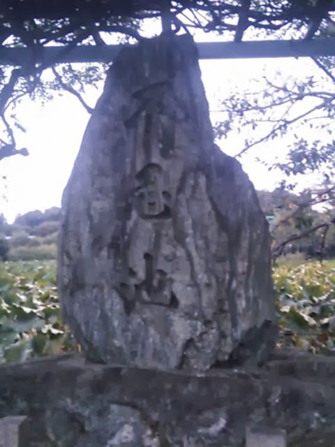 20131019_不忍池