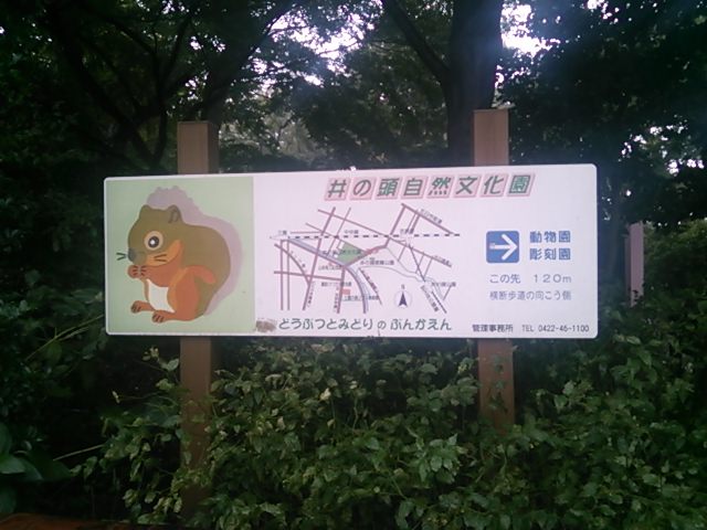 20131029_井の頭公園
