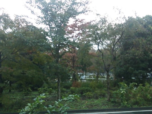 20131029_神代植物公園