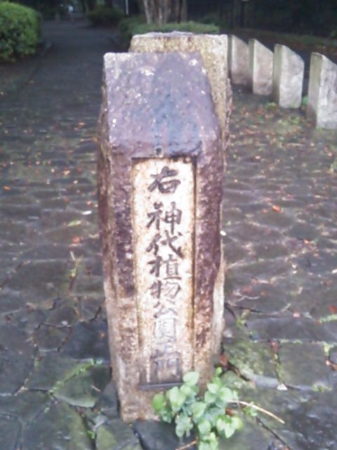 20131029_神代植物公園
