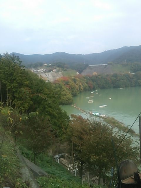 20131102_相模湖