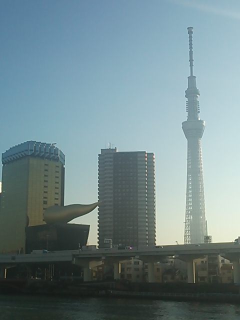 20131116_フラムドール