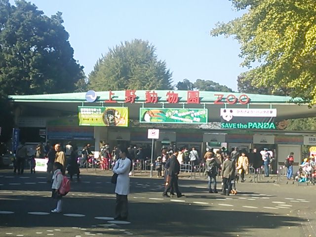 20131116_上野動物園