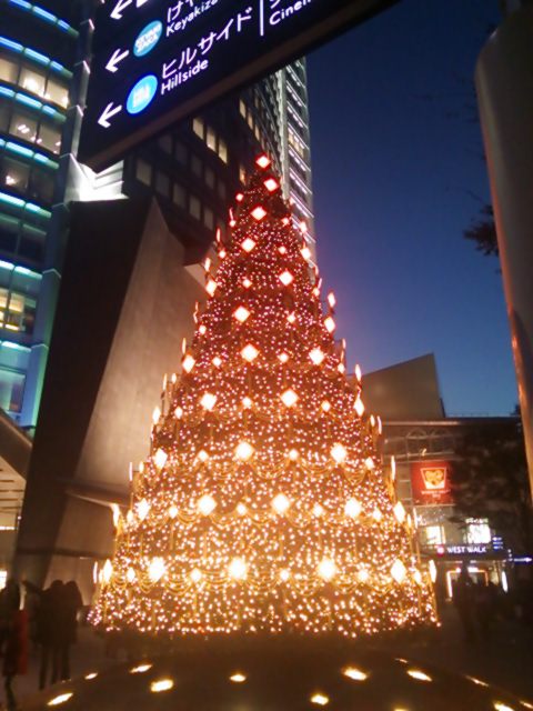 20131116_六本木