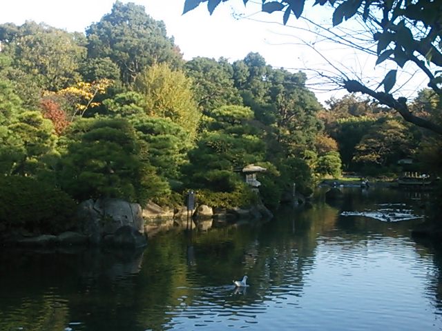 20131116_隅田公園