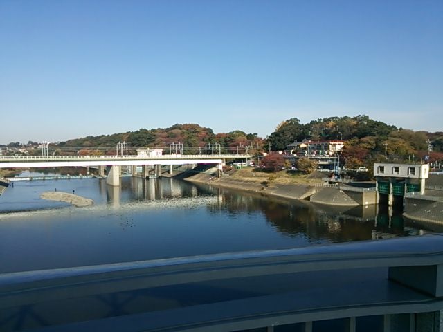 20131124_丸子橋
