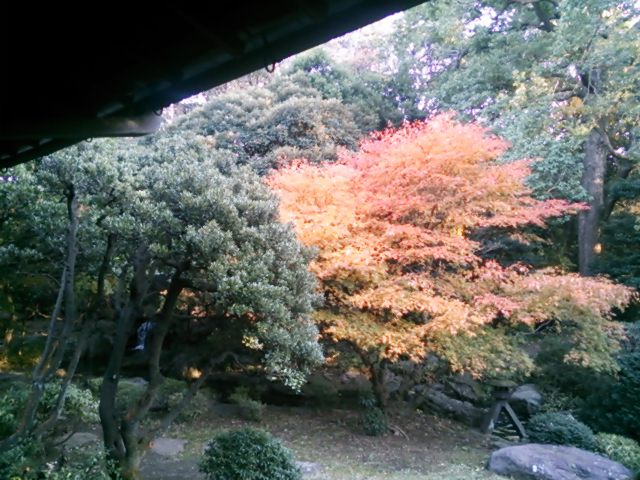 20131124_旧前田家本邸 和館
