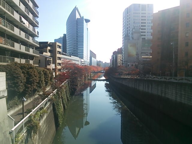 20131124_目黒川