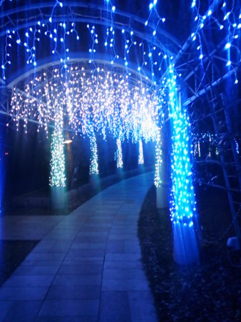 20131214_ハイジの村