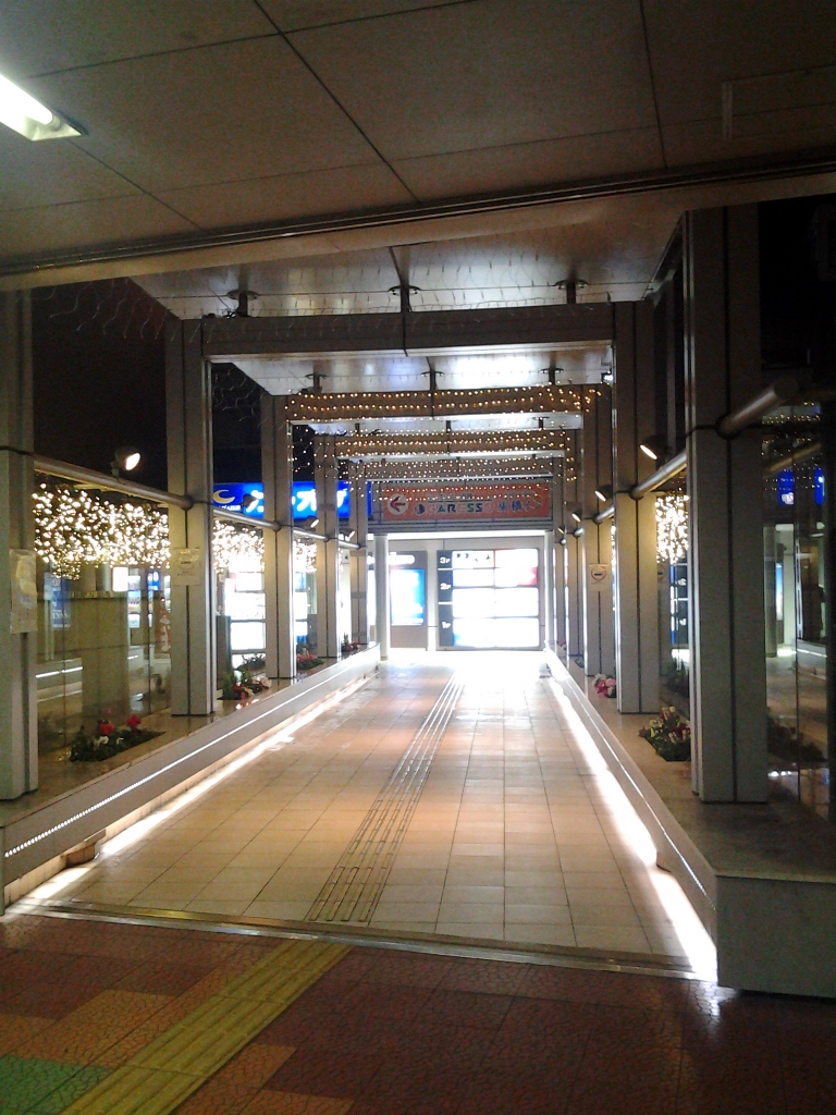 20131220_新潟駅