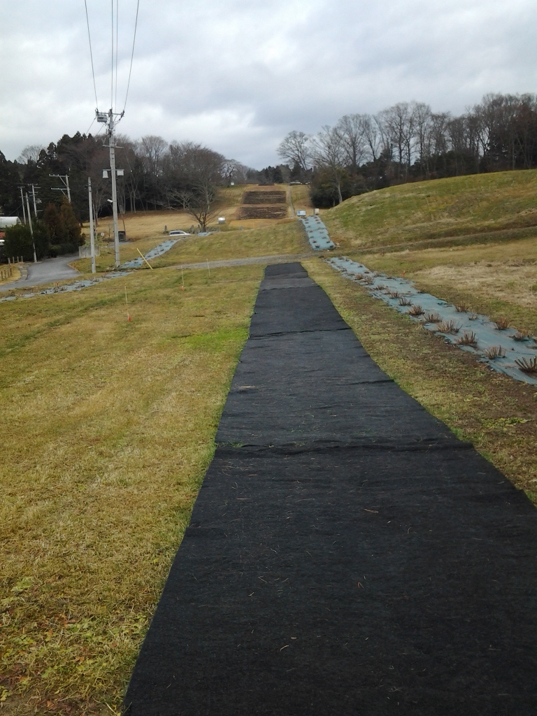 20131223_多賀城跡