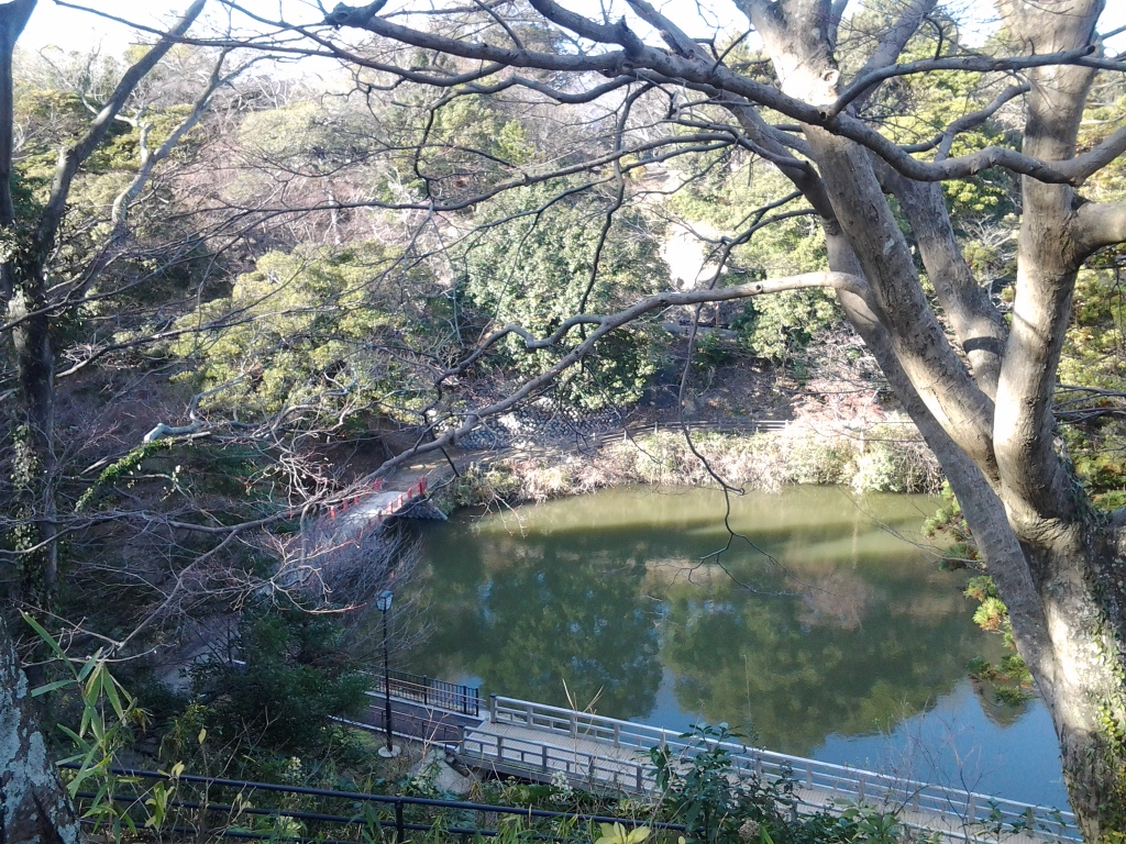 20131229_公園池