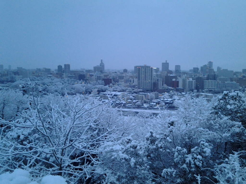 20140102_仙台城跡