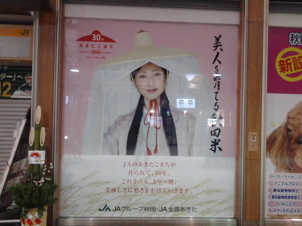 20140103_美人を育てる秋田米