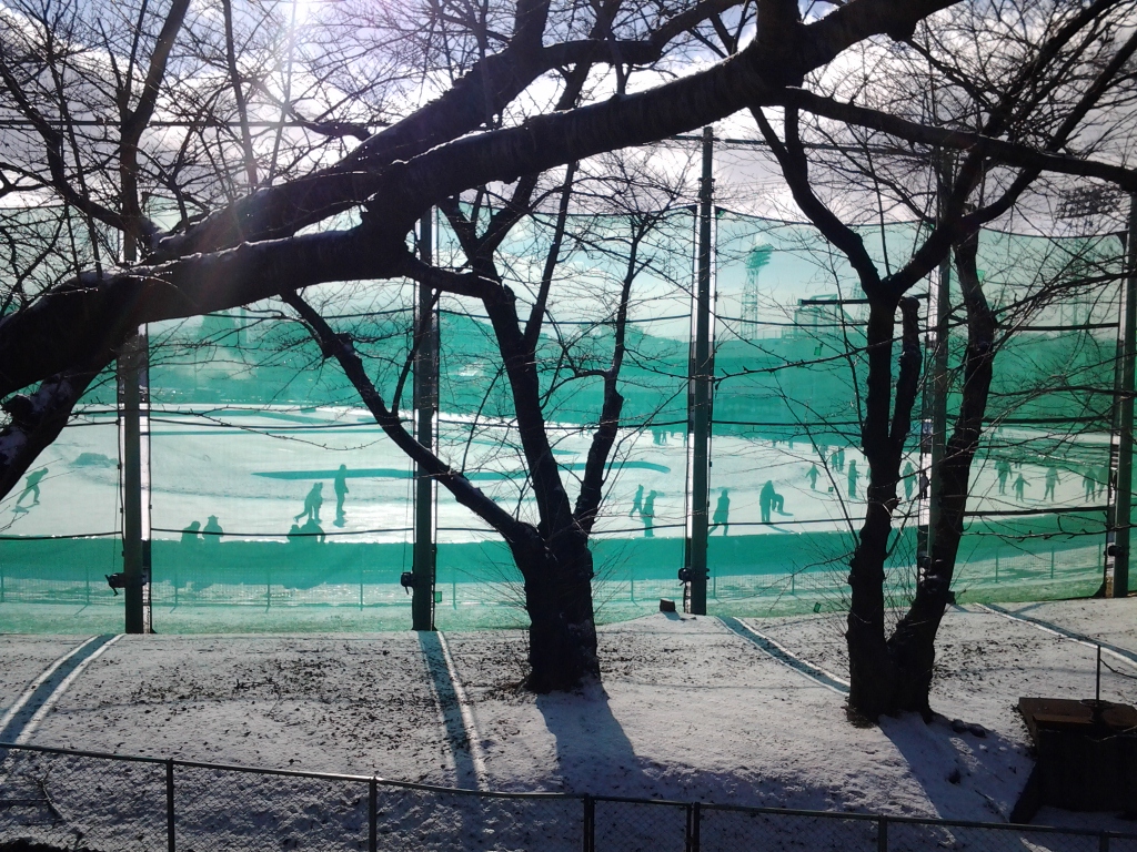 20140104_天然アイスリンク