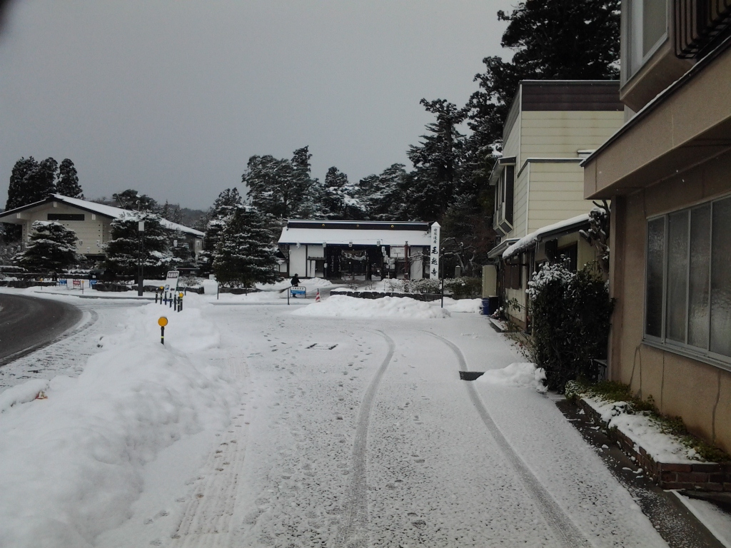 20140105_毛越寺