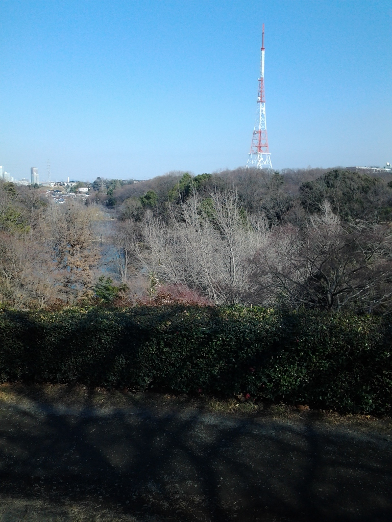 20140112_三ツ池公園