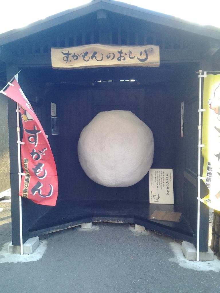 20140119_すがもんのおしり