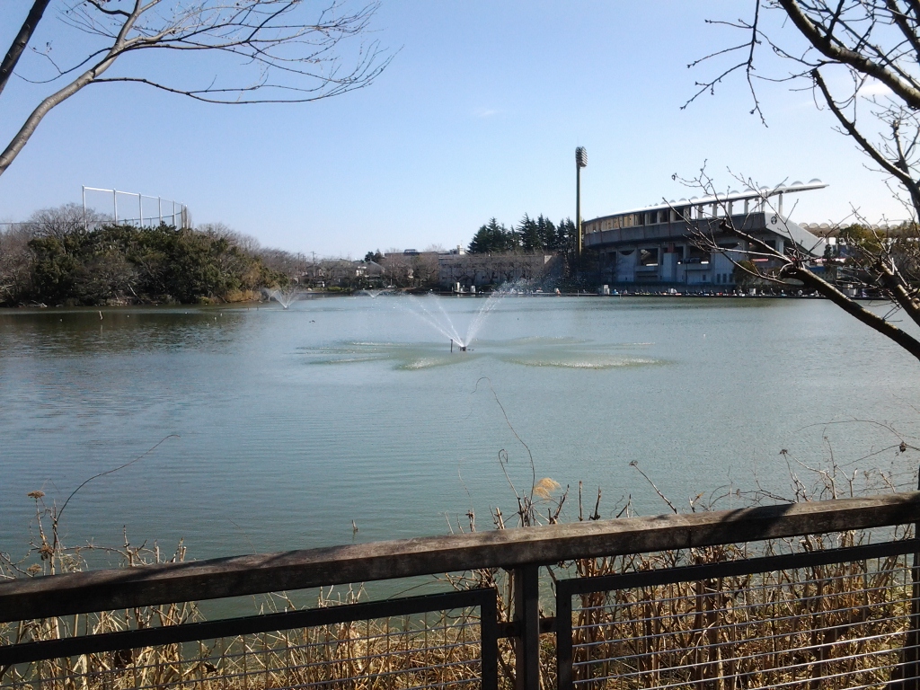 20140222_等々力緑地