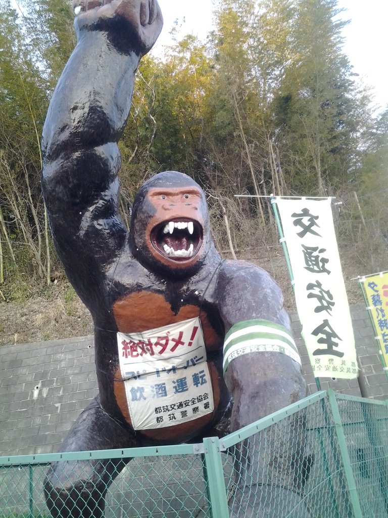 20140222_都筑まもる君