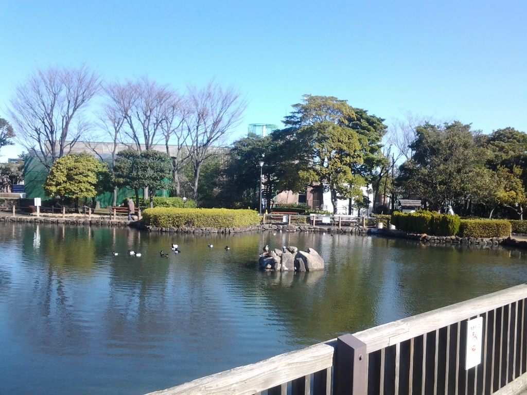 20140315_荒川自然公園