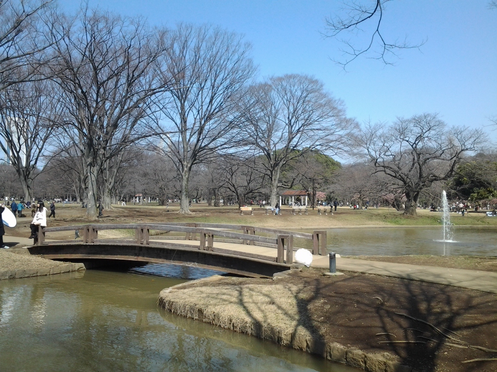 20140316_代々木公園