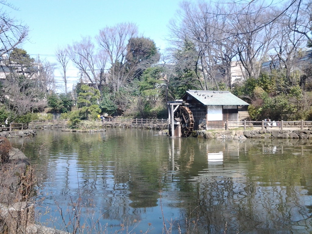 20140316_渋谷区立鍋島松涛公園