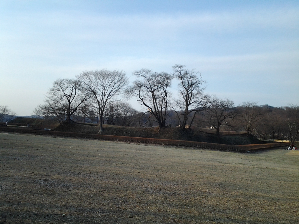 20140402_九戸城跡