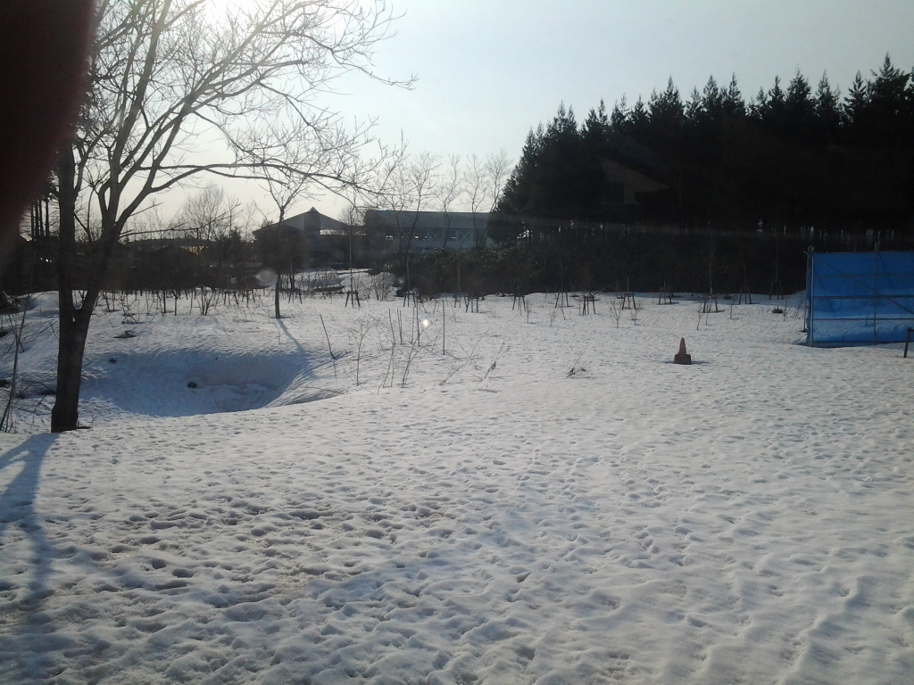 20140402_岩手町あたり