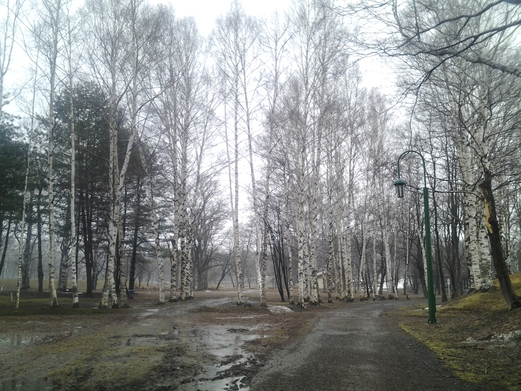 20140404_帯広市野草園