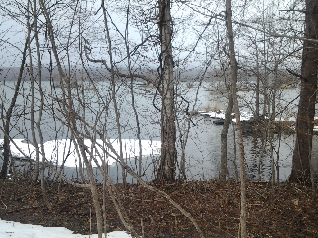 20140406_大沼・ラムサール条約湿地