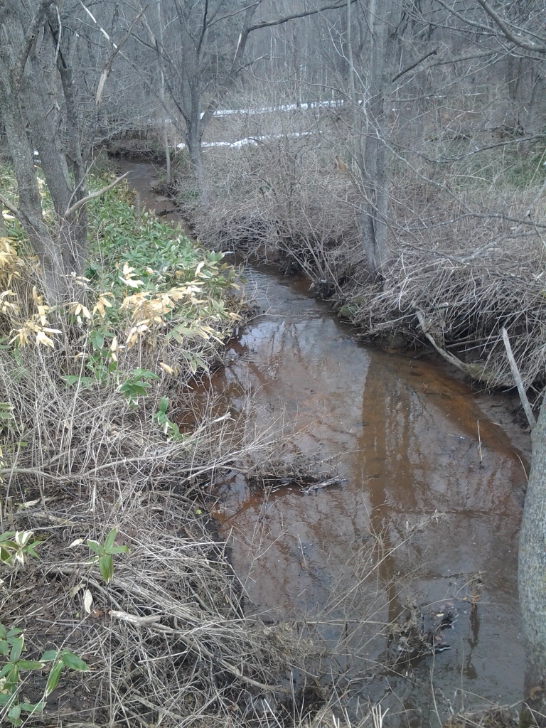 20140406_大沼・ラムサール条約湿地