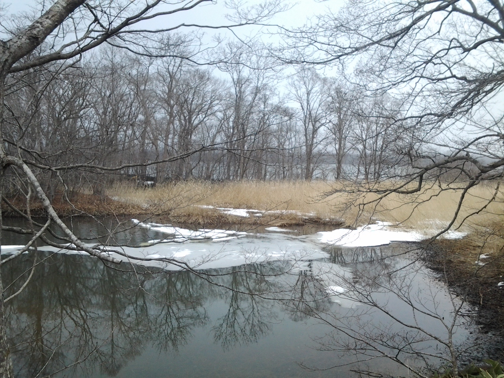 20140406_大沼・ラムサール条約湿地