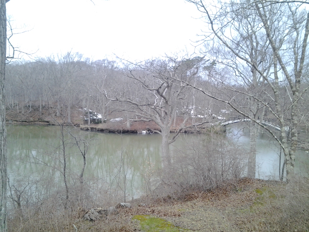 20140406_大沼国定公園