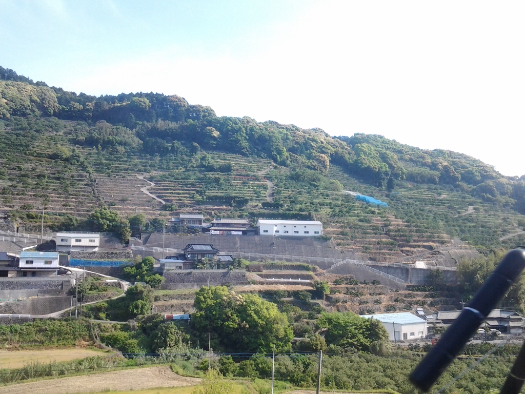 20140426_本川内あたり