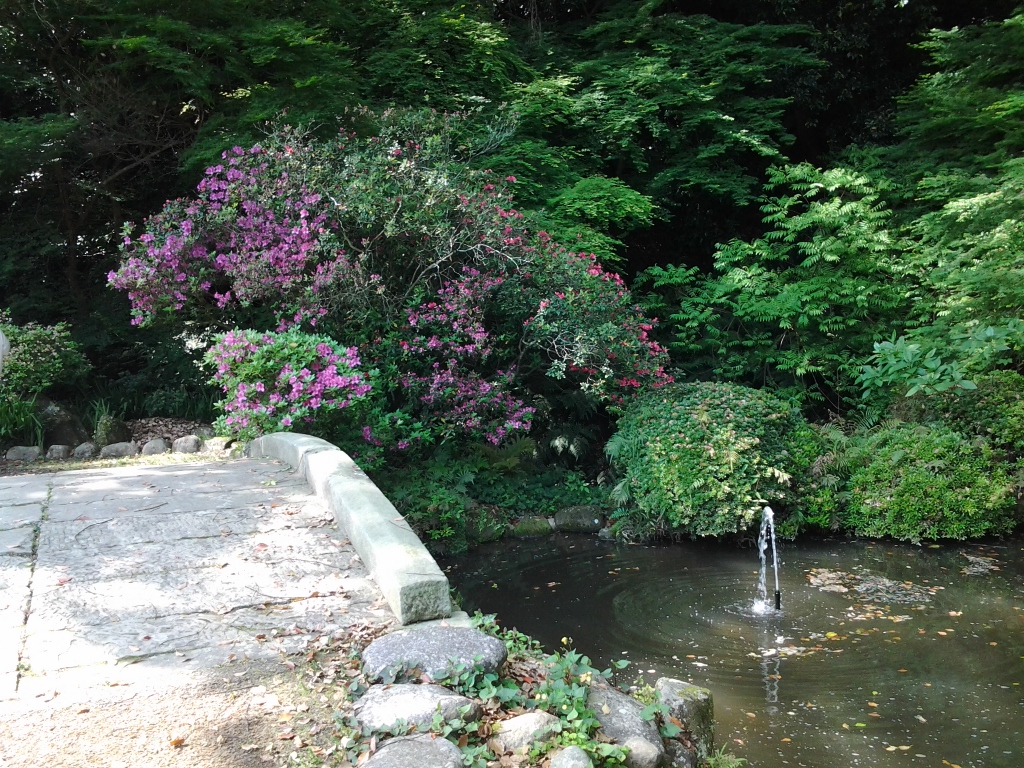 20140426_諫早公園　桜馬場