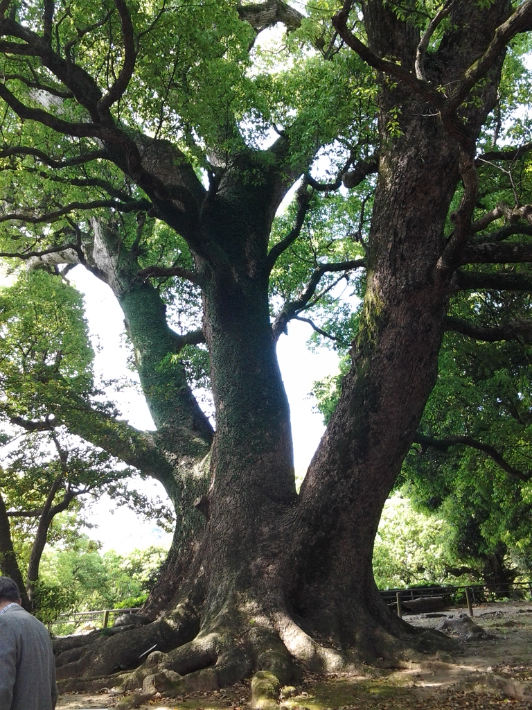 20140426_諫早城　本丸虎口