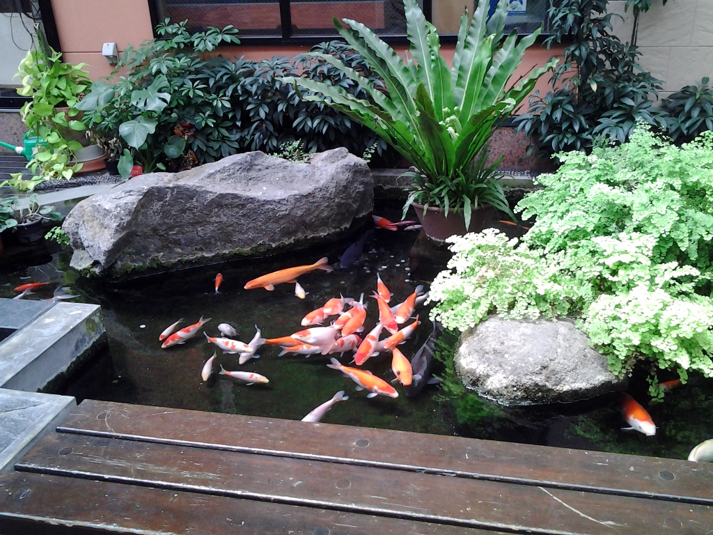 20140426_鯉の泳ぐまち