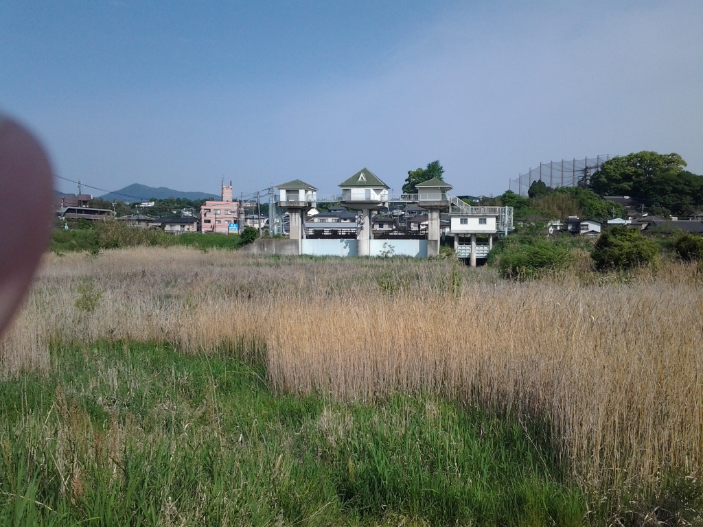 20140427_坪井川緑地公園