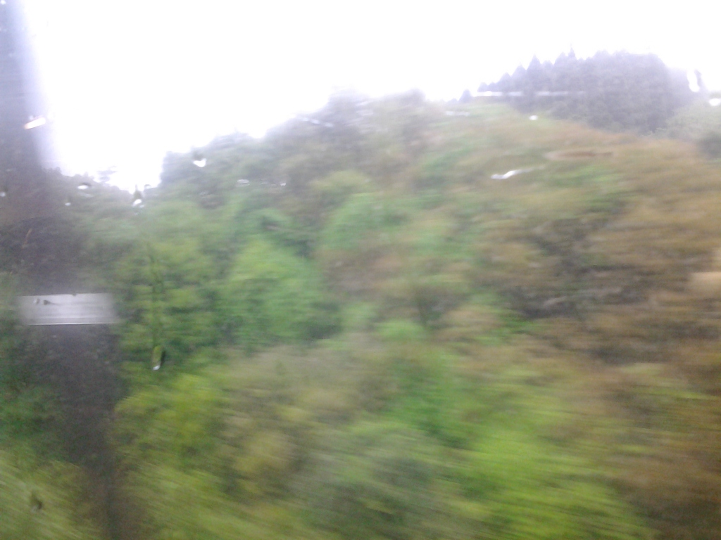 20140428_青井岳あたり