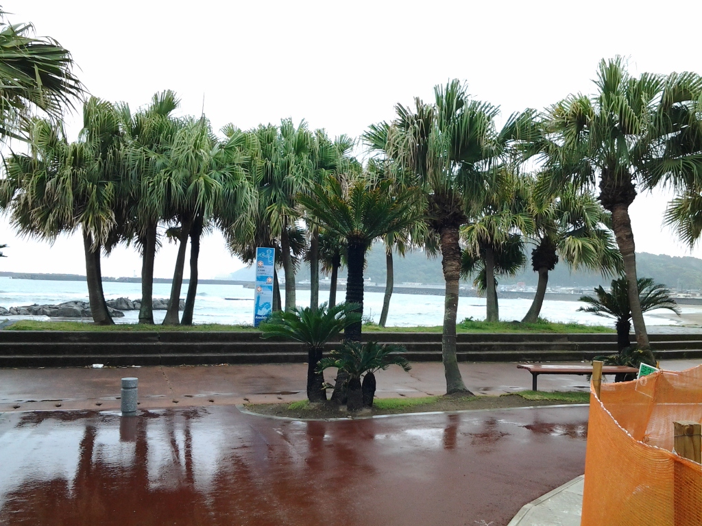 20140428_青島参道南広場