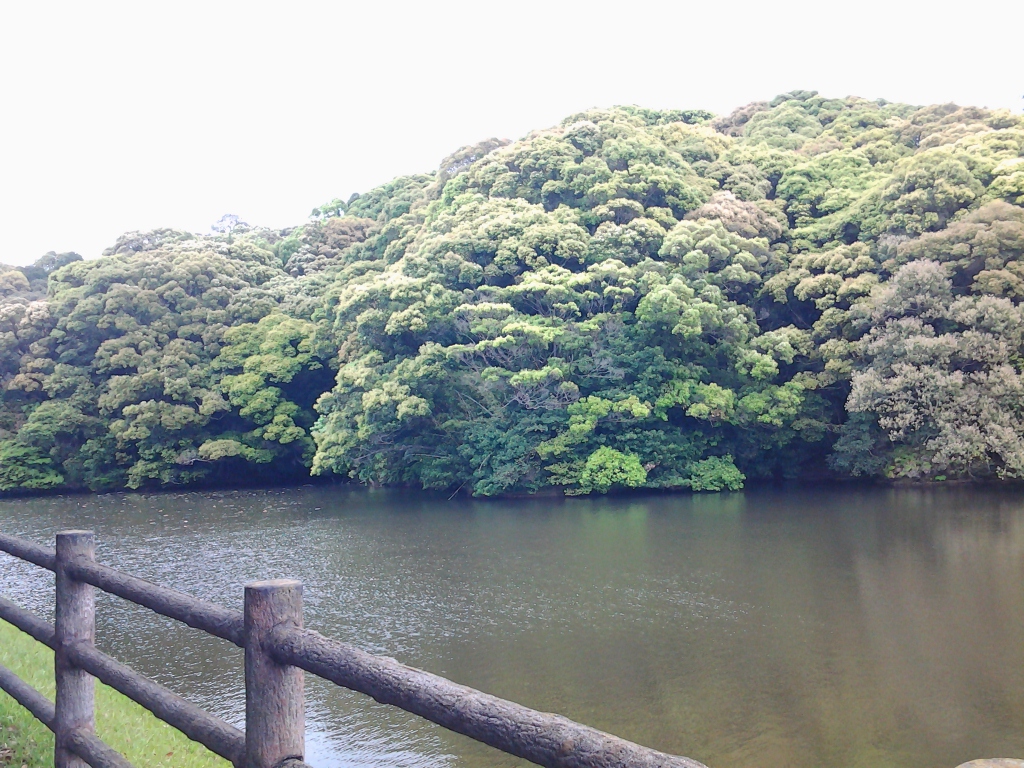 20140429_御諏訪池(蓮ヶ池)