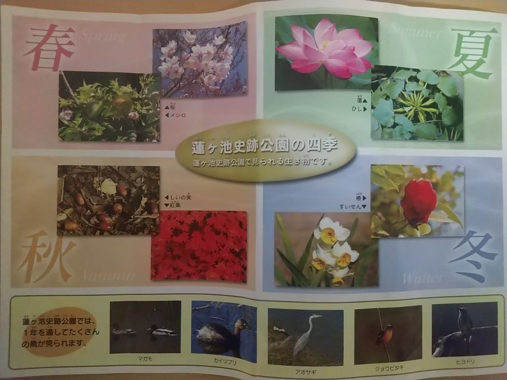 20140429_蓮ヶ池史跡公園