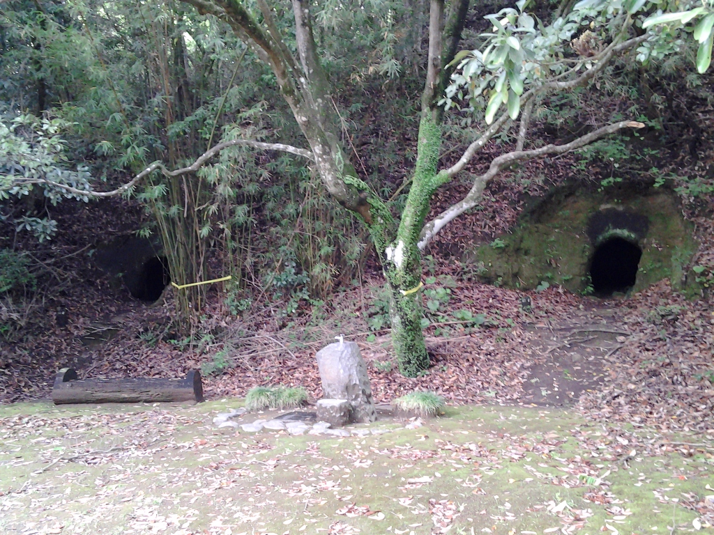 20140429_蓮ヶ池横穴群