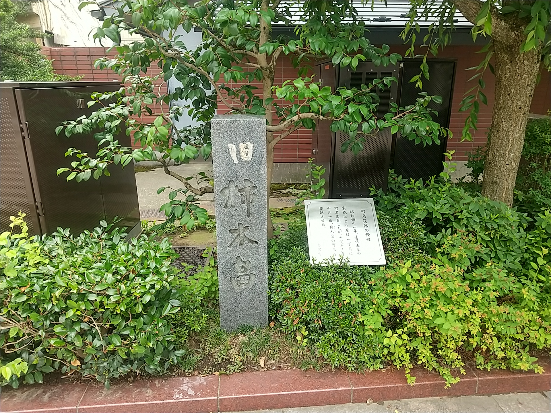 20250627_柿木畠